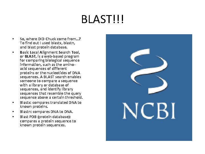 BLAST!!! • • • So, where DID Chuck come from…? To find out I