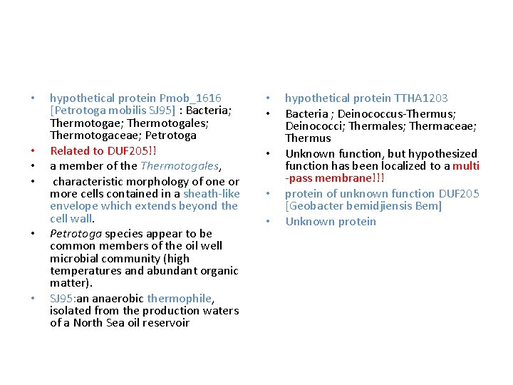  • • • hypothetical protein Pmob_1616 [Petrotoga mobilis SJ 95] : Bacteria; Thermotogae;