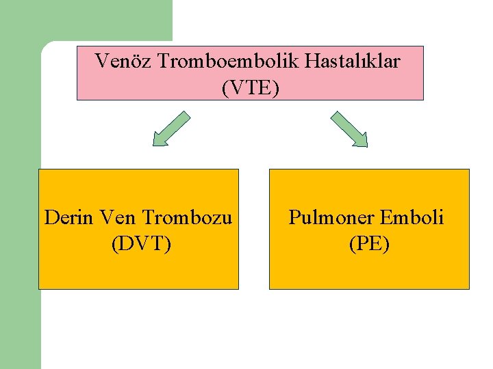 Venöz Tromboembolik Hastalıklar (VTE) Derin Ven Trombozu (DVT) Pulmoner Emboli (PE) 