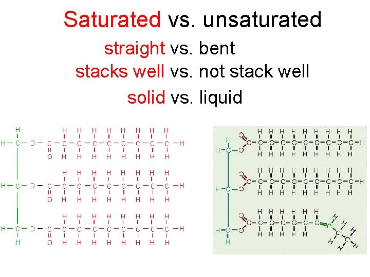 Saturated vs. unsaturated straight vs. bent. stacks well vs. not stack well solid vs.