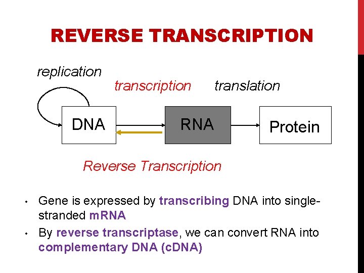 REVERSE TRANSCRIPTION replication DNA transcription translation RNA Protein Reverse Transcription • • Gene is