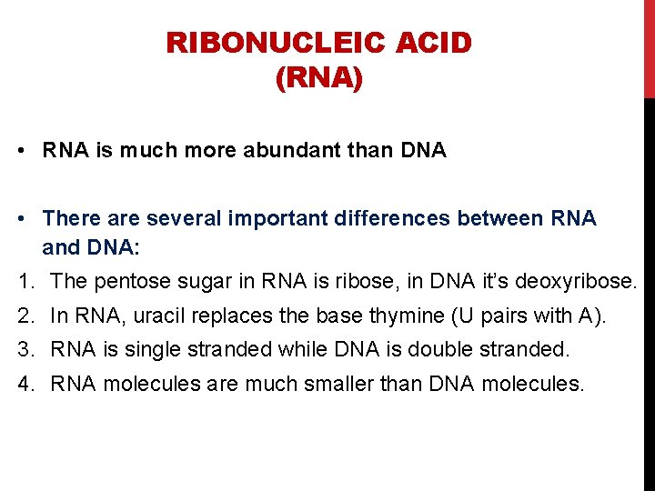 RIBONUCLEIC ACID (RNA) • RNA is much more abundant than DNA • There are