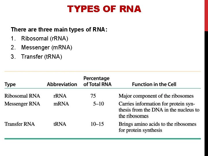 TYPES OF RNA There are three main types of RNA: 1. Ribosomal (r. RNA)