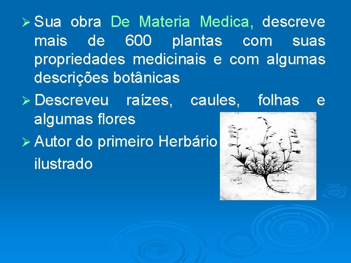 Ø Sua obra De Materia Medica, descreve mais de 600 plantas com suas propriedades