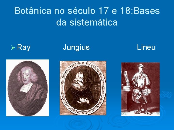 Botânica no século 17 e 18: Bases da sistemática Ø Ray Jungius Lineu 