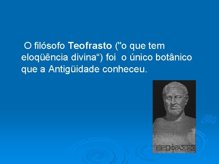  O filósofo Teofrasto ("o que tem eloqüência divina“) foi o único botânico que