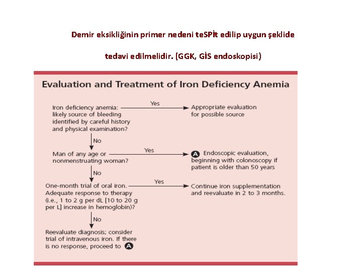 Demir eksikliğinin primer nedeni te. SPİt edilip uygun şeklide tedavi edilmelidir. (GGK, GİS endoskopisi)