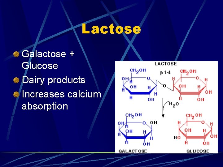 Lactose Galactose + Glucose Dairy products Increases calcium absorption 