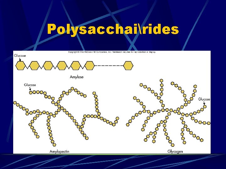 Polysacchairides 