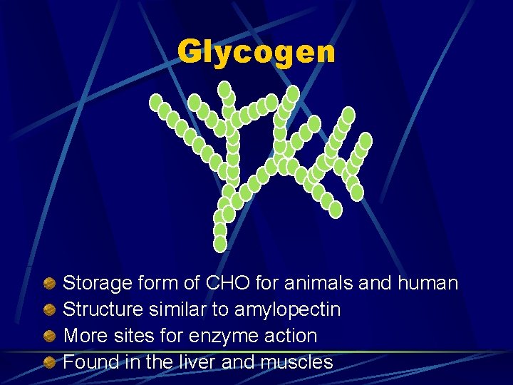 Glycogen Storage form of CHO for animals and human Structure similar to amylopectin More