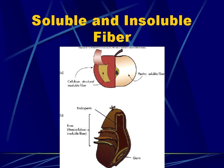 Soluble and Insoluble Fiber 