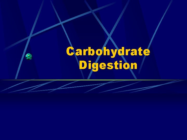 Carbohydrate Digestion 