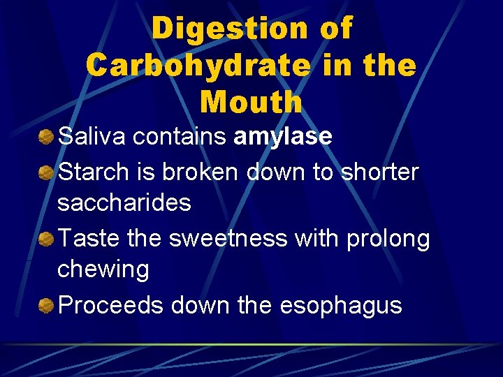 Digestion of Carbohydrate in the Mouth Saliva contains amylase Starch is broken down to