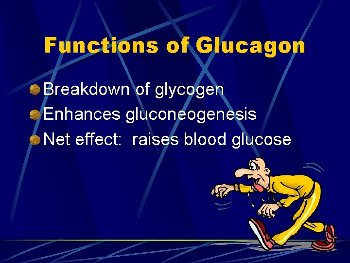 Functions of Glucagon Breakdown of glycogen Enhances gluconeogenesis Net effect: raises blood glucose 