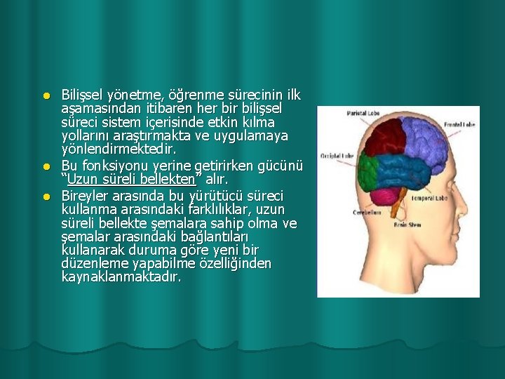 Bilişsel yönetme, öğrenme sürecinin ilk aşamasından itibaren her bilişsel süreci sistem içerisinde etkin kılma