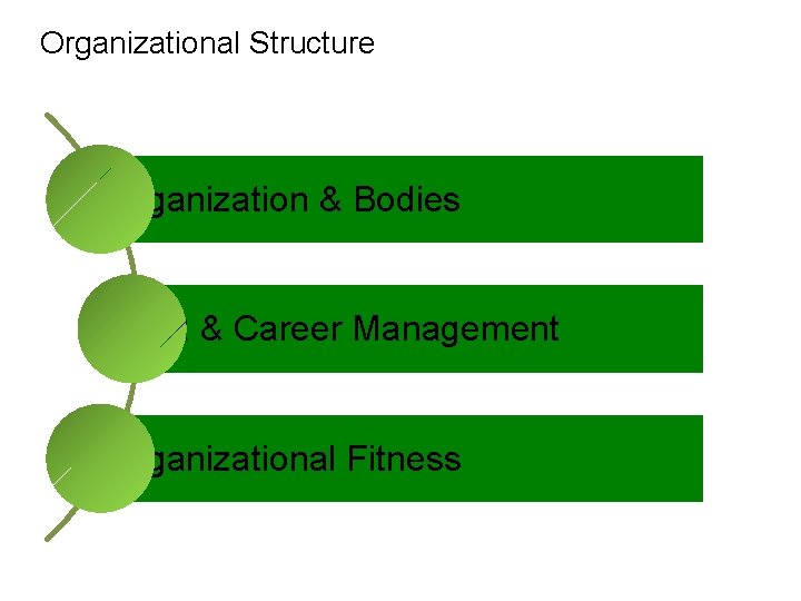 Organizational Structure Organization & Bodies HR & Career Management Organizational Fitness 