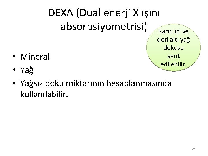 DEXA (Dual enerji X ışını absorbsiyometrisi) Karın içi ve deri altı yağ dokusu ayırt