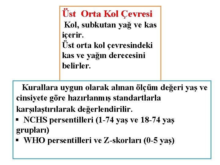 Üst Orta Kol Çevresi Kol, subkutan yağ ve kas içerir. Üst orta kol çevresindeki