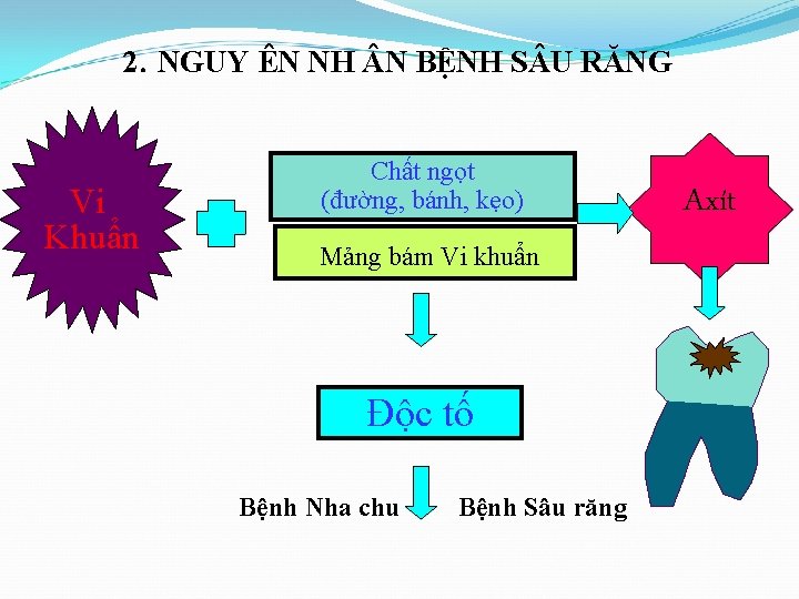 2. NGUY ÊN NH N BỆNH S U RĂNG Vi Khuẩn Chất ngọt (đường,