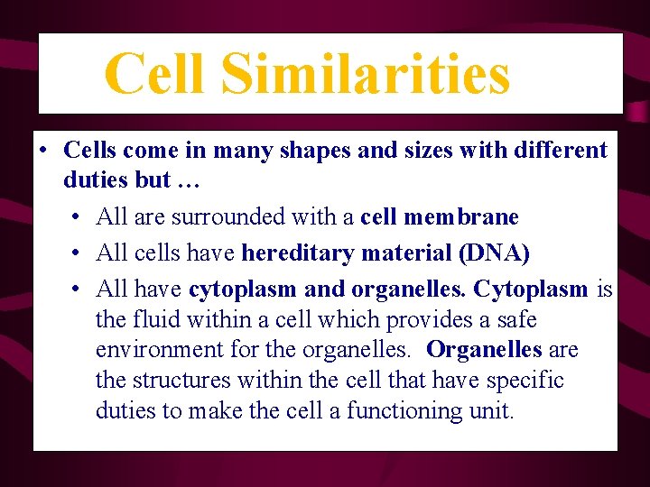 Cell Similarities • Cells come in many shapes and sizes with different duties but