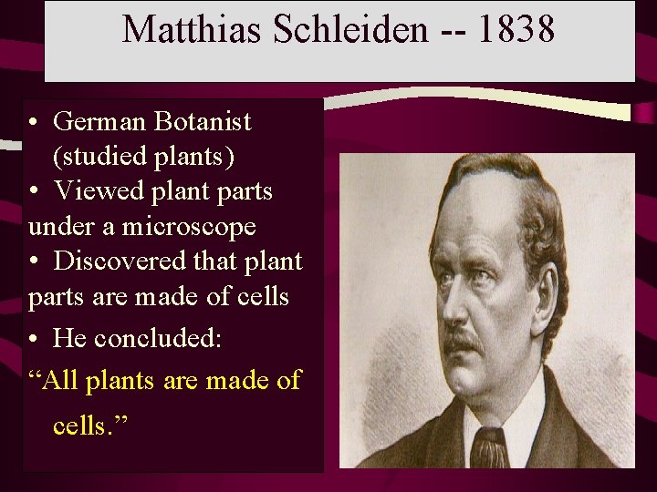 Matthias Schleiden -- 1838 • German Botanist (studied plants) • Viewed plant parts under