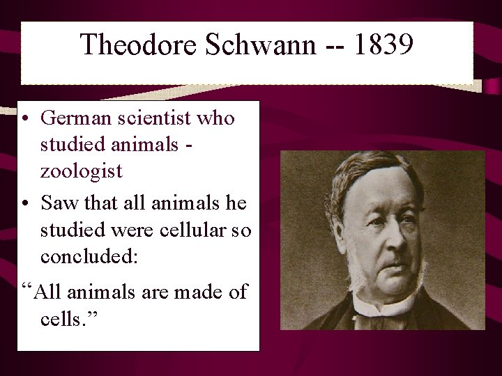 Theodore Schwann -- 1839 • German scientist who studied animals zoologist • Saw that