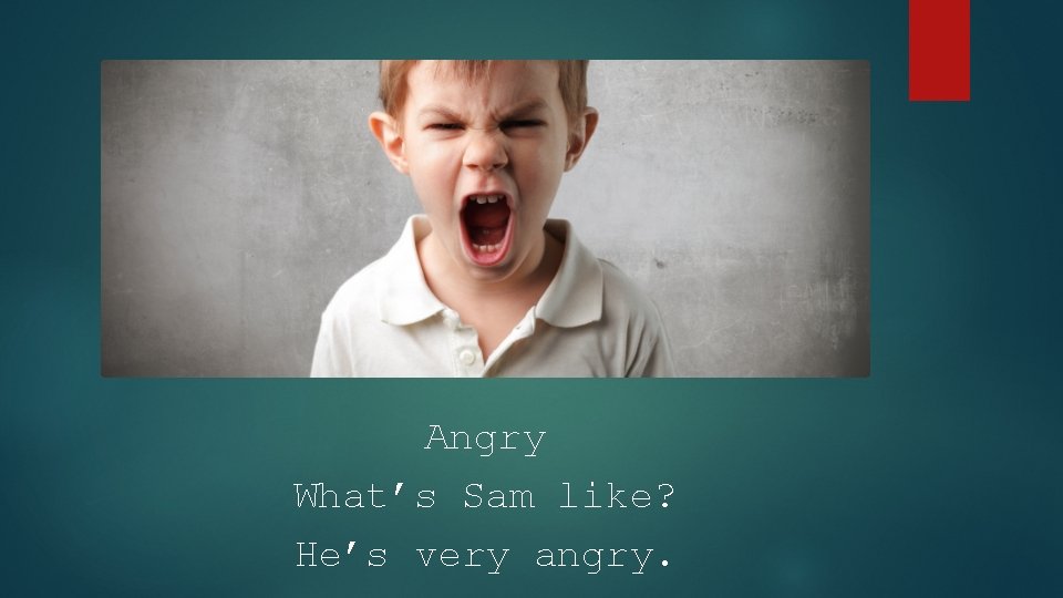 Angry What’s Sam like? He’s very angry. 