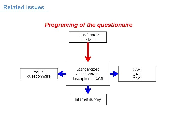 Related issues Programing of the questionaire User-friendly interface Paper questionnaire Standardized questionnaire description in