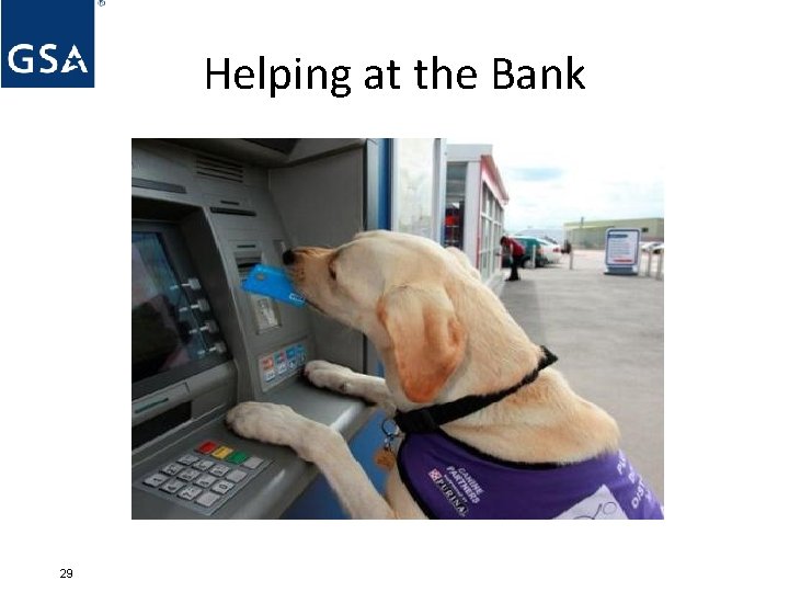 Helping at the Bank 29 
