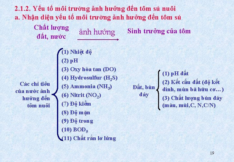 2. 1. 2. Yếu tố môi trường ảnh hưởng đến tôm sú nuôi a.