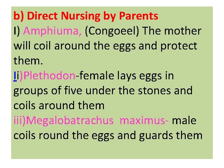 b) Direct Nursing by Parents I) Amphiuma, (Congoeel) The mother will coil around the