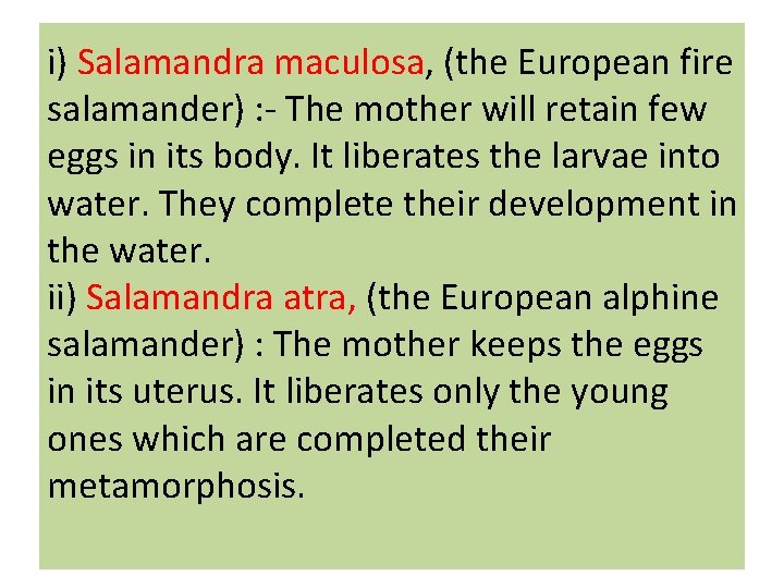 i) Salamandra maculosa, (the European fire salamander) : - The mother will retain few