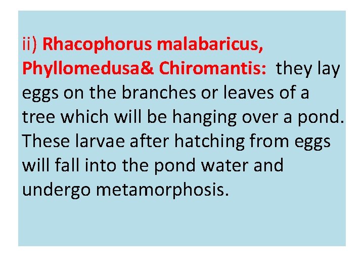 ii) Rhacophorus malabaricus, Phyllomedusa& Chiromantis: they lay eggs on the branches or leaves of