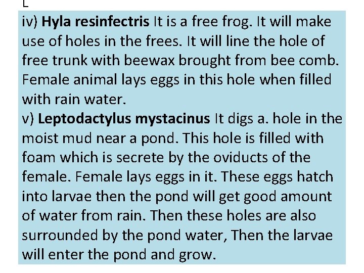 L iv) Hyla resinfectris It is a free frog. It will make use of