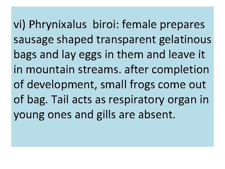 vi) Phrynixalus biroi: female prepares sausage shaped transparent gelatinous bags and lay eggs in