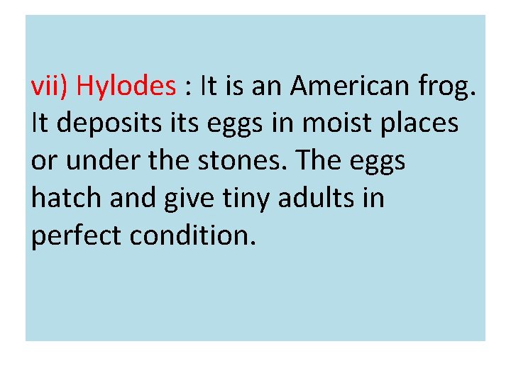 vii) Hylodes : It is an American frog. It deposits eggs in moist places
