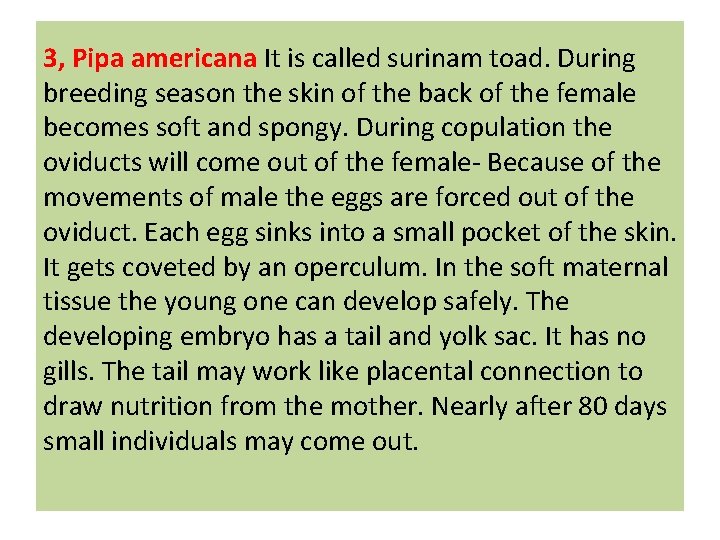 3, Pipa americana It is called surinam toad. During breeding season the skin of