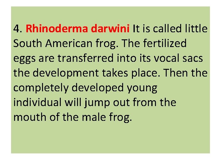 4. Rhinoderma darwini It is called little South American frog. The fertilized eggs are