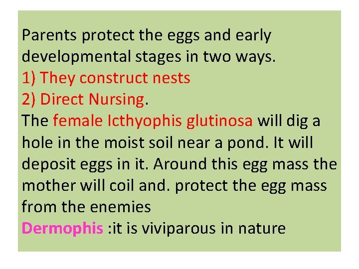 Parents protect the eggs and early developmental stages in two ways. 1) They construct