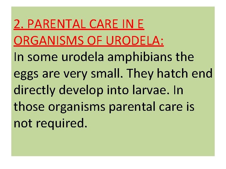 2. PARENTAL CARE IN E ORGANISMS OF URODELA: In some urodela amphibians the eggs