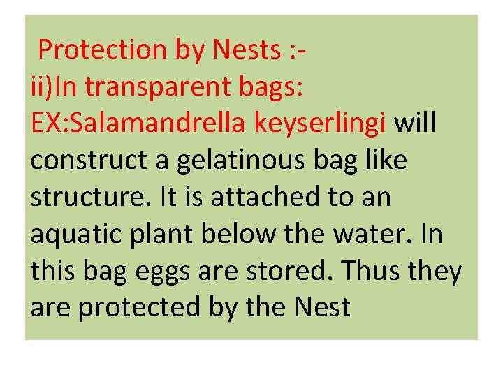  Protection by Nests : ii)In transparent bags: EX: Salamandrella keyserlingi will construct a