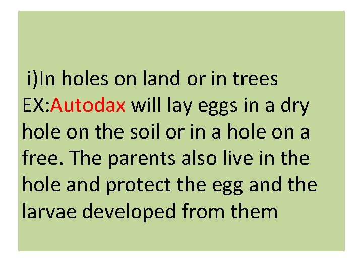  i)In holes on land or in trees EX: Autodax will lay eggs in