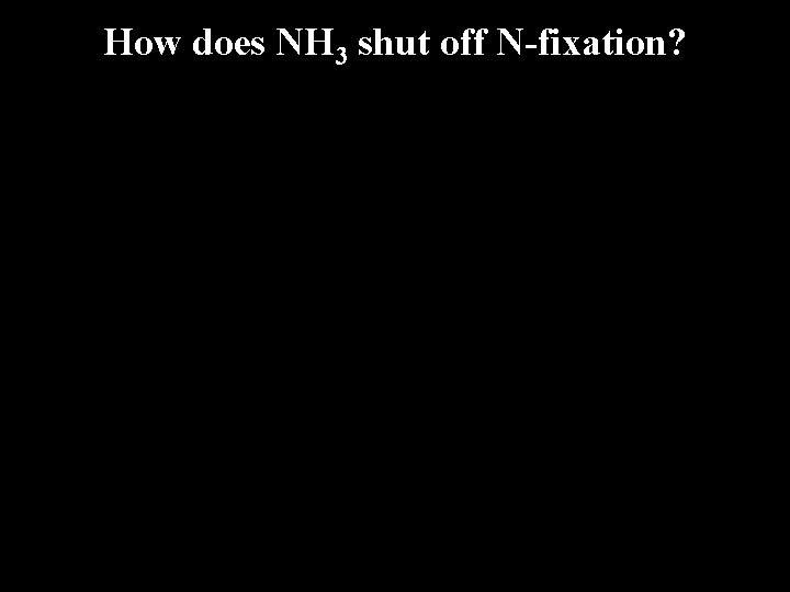 How does NH 3 shut off N-fixation? How does NH 3 shut off N-fixation?