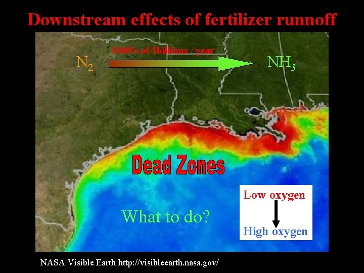 Downstream effects of fertilizer runnoff N 2 $100's of $billions / year NH 3 Downstream effects of fertilizer runnoff N 2 $100's of $billions / year NH 3