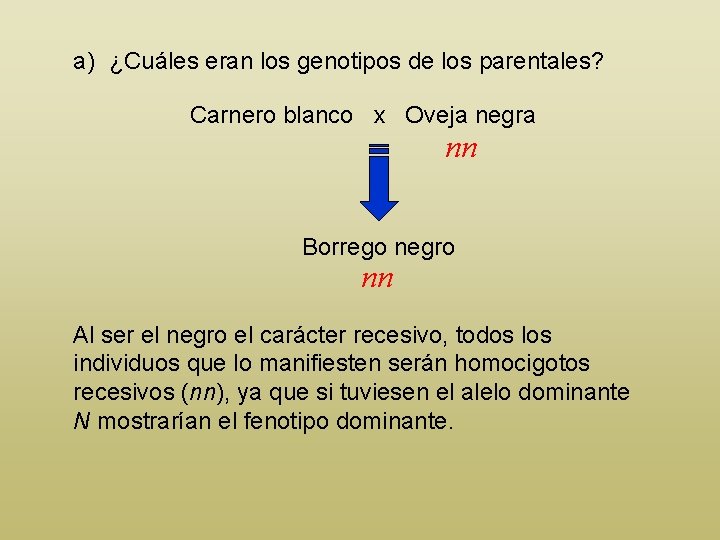 a) ¿Cuáles eran los genotipos de los parentales? Carnero blanco x Oveja negra nn