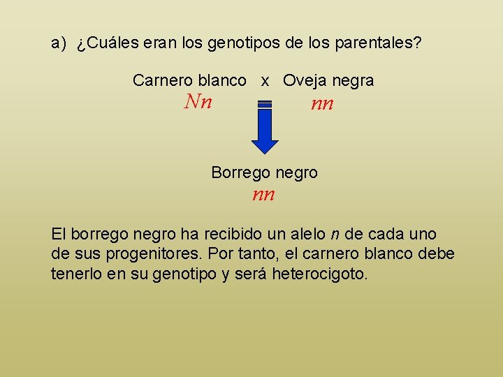 a) ¿Cuáles eran los genotipos de los parentales? Carnero blanco x Oveja negra Nn