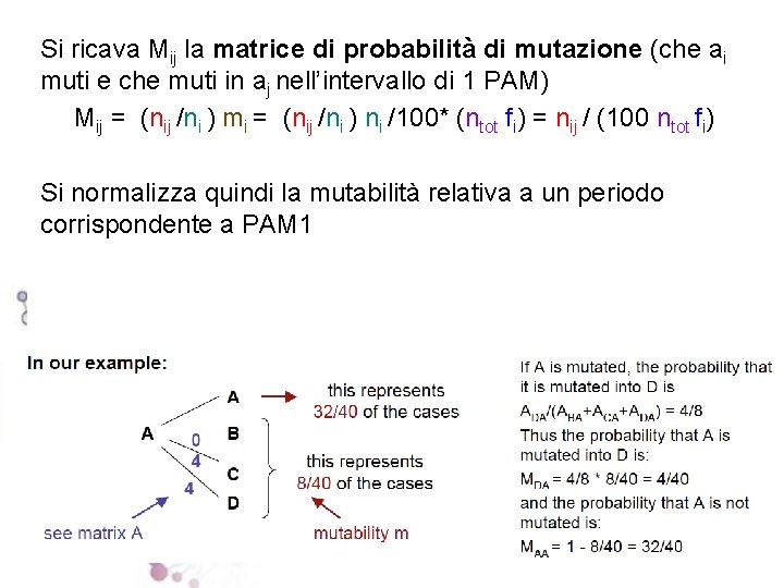 Si ricava Mij la matrice di probabilità di mutazione (che ai muti e che