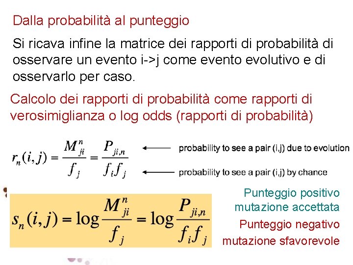 Dalla probabilità al punteggio Si ricava infine la matrice dei rapporti di probabilità di