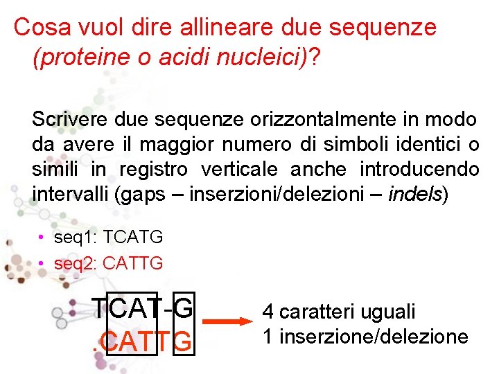 Cosa vuol dire allineare due sequenze (proteine o acidi nucleici)? Scrivere due sequenze orizzontalmente