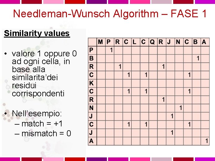 Needleman-Wunsch Algorithm – FASE 1 Similarity values • valore 1 oppure 0 ad ogni